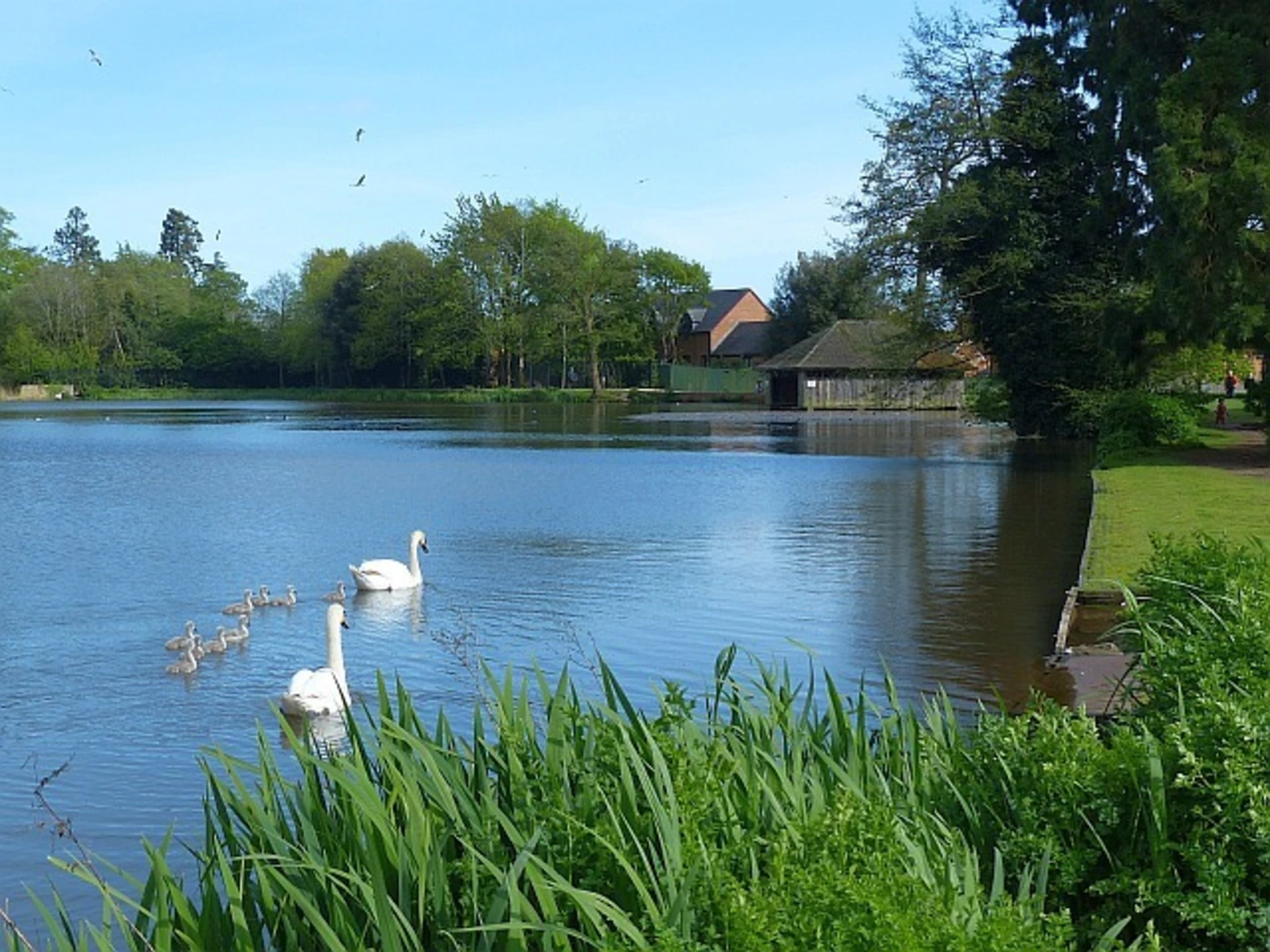 An image depicting the trail Tredegar House Country Park Loop and its surrounding area.