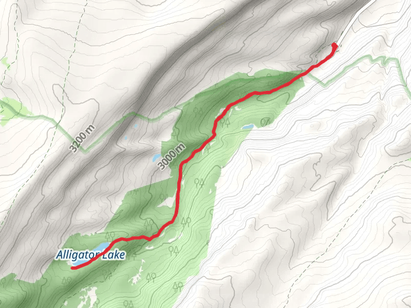 Alligator Lake via Henry's Fork Trail