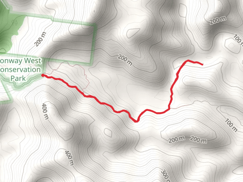 Wompoo Way Track