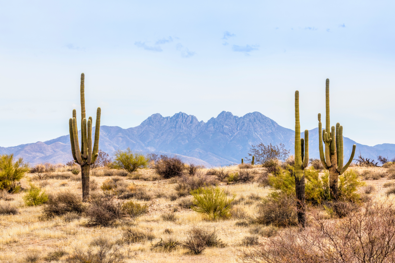 An image depicting the trail Sandy Saddle via Barnhardt Trail and its surrounding area.