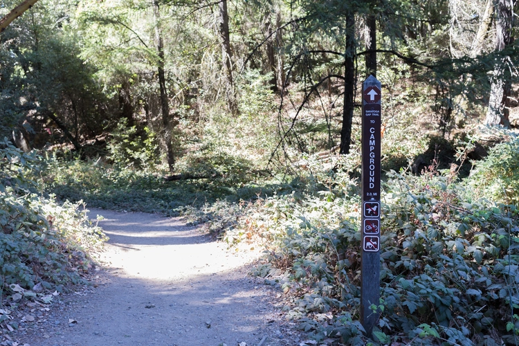 Saratoga Gap Trail