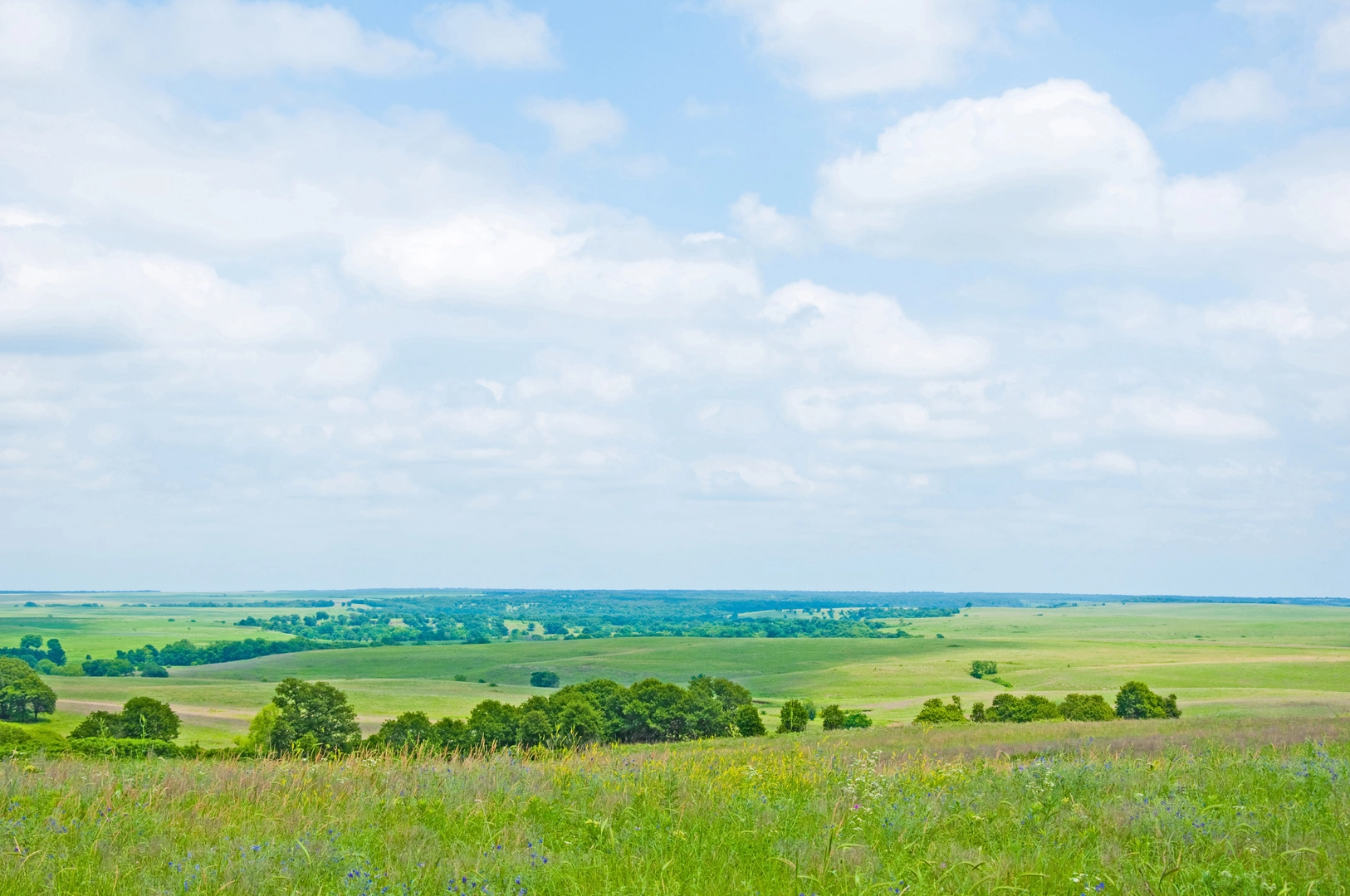 An image depicting the trail Osage Prairie Trail and its surrounding area.