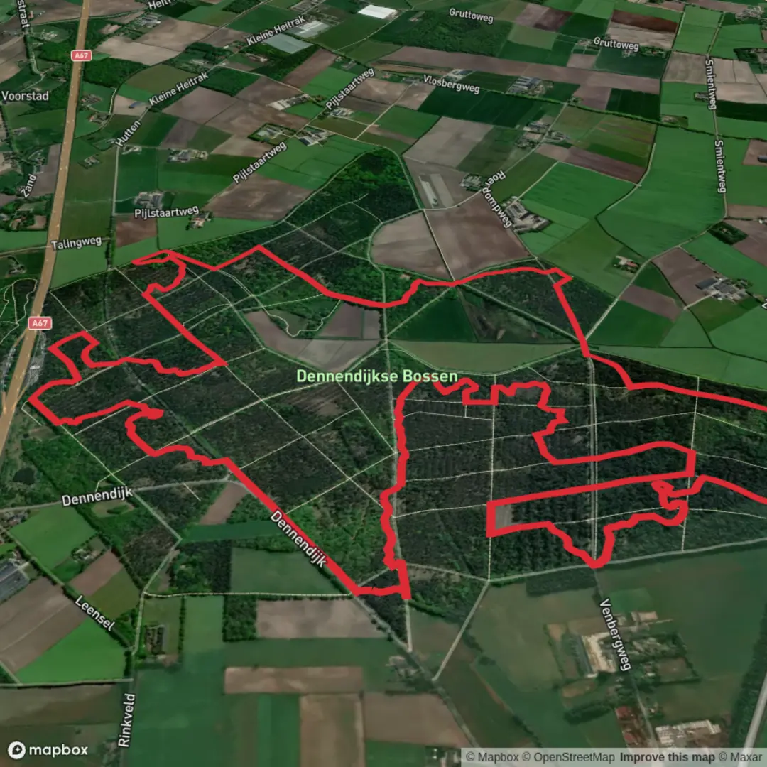 An image depicting the trail Dennendijkse Bossen Circlular Walk and its surrounding area.