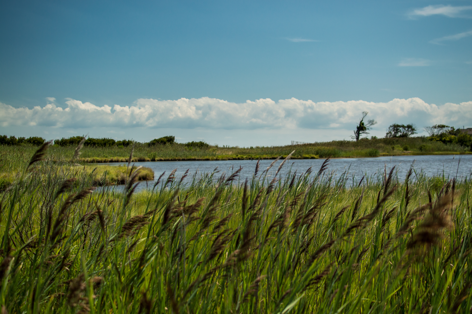 An image depicting the trail Grandview Natural Preserve Walk and its surrounding area.