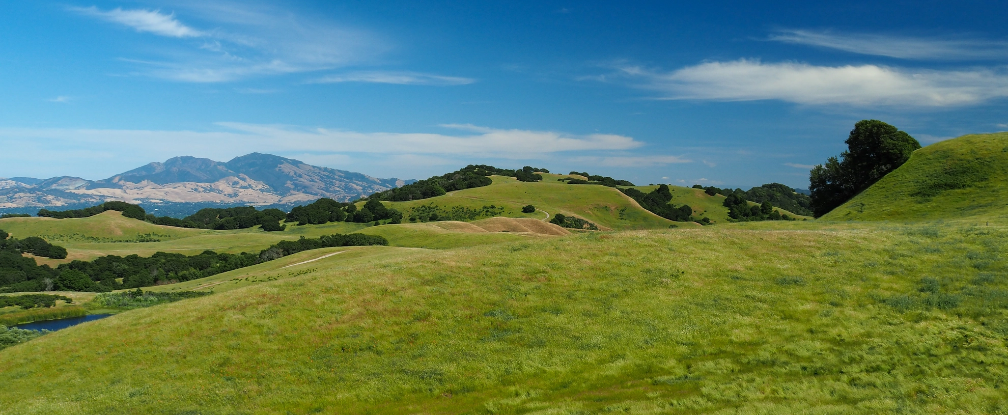 An image depicting the trail Maricich Lagoon via Old Briones Road Trail and its surrounding area.