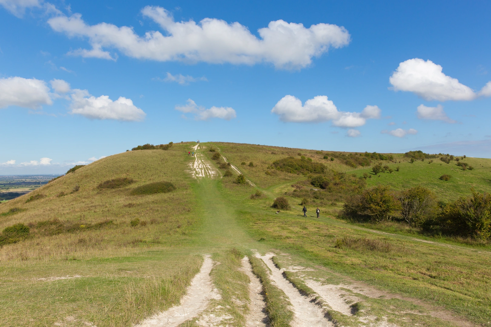 An image depicting the trail Icknield Way Path and its surrounding area.
