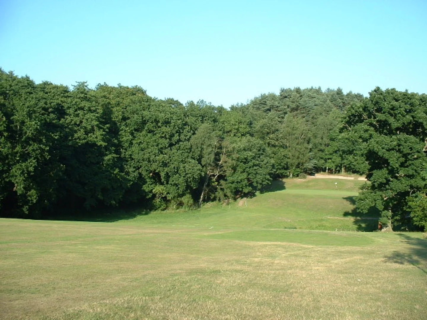 An image depicting the trail Matthew's Moor and Lordswood Loop and its surrounding area.