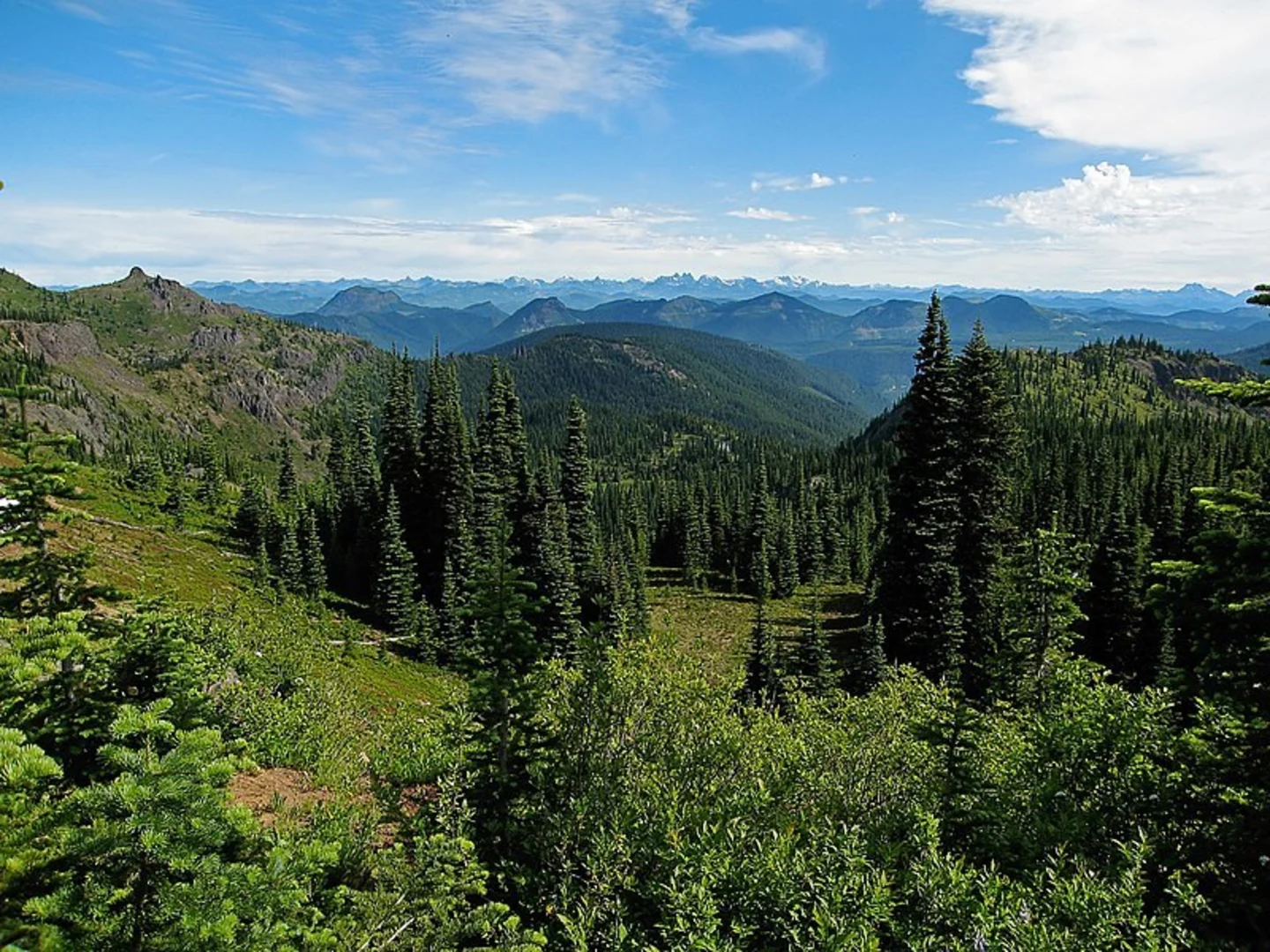 An image depicting the trail Deep Creek and Noble Knob Trail and its surrounding area.