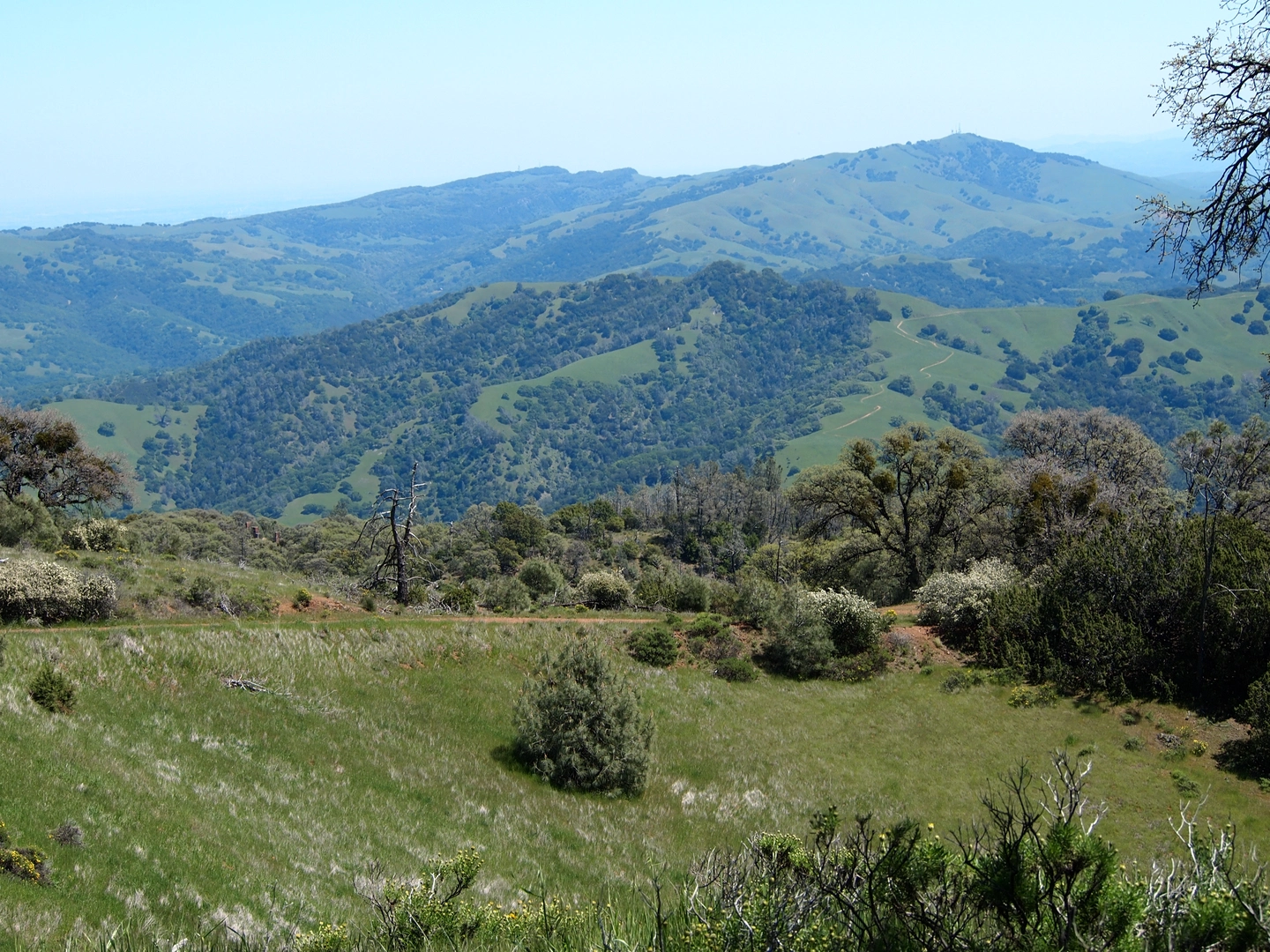 An image depicting the trail Wall Point, Barbecue Terrace Road and Secret Loop Trail and its surrounding area.