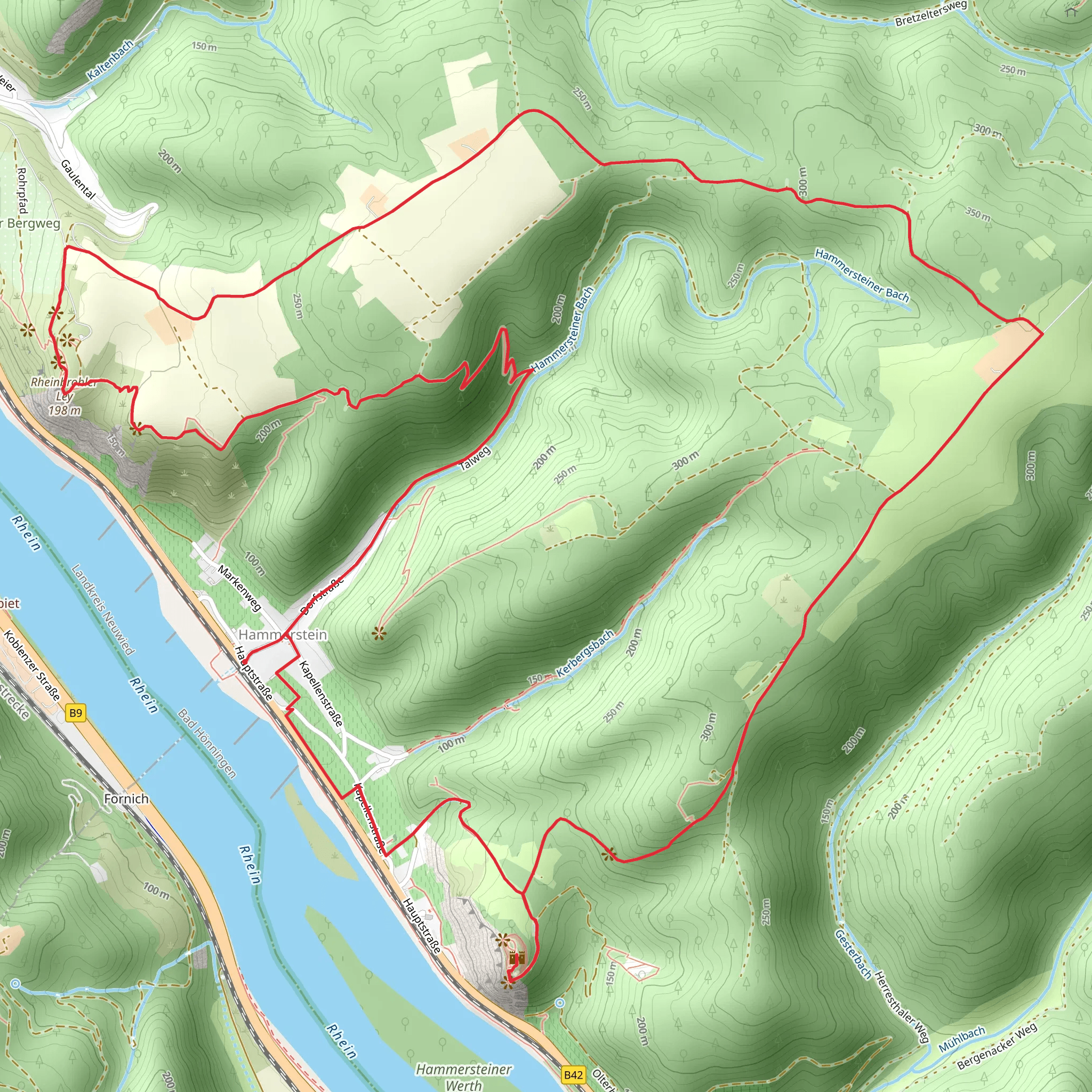 Burgruine Hammerstein, Magdalenenhof and Rheinbrohler Ley Loop mobile static map