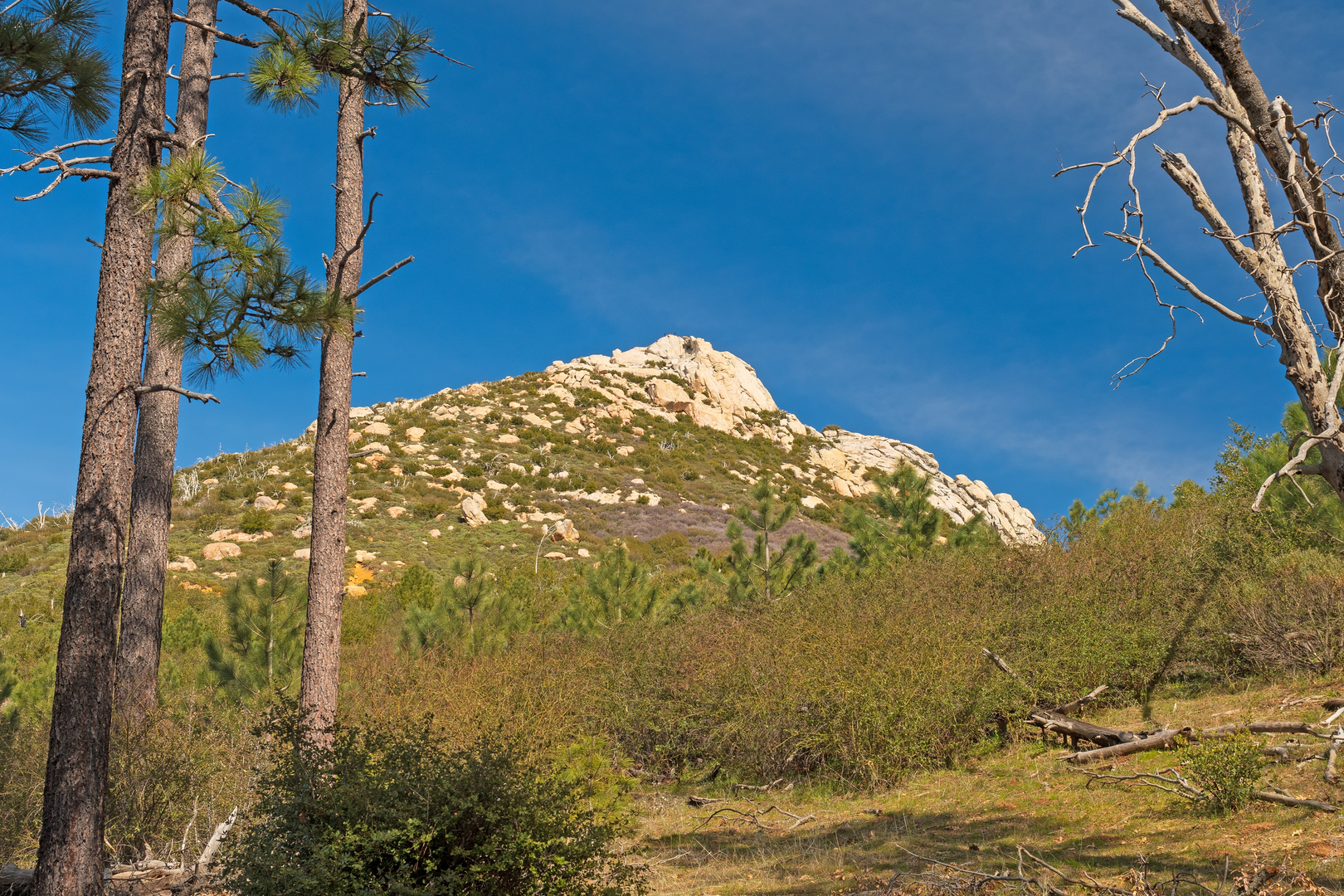 An image depicting the trail Merigan Fire Road and Dead Horse Loop Trail and its surrounding area.