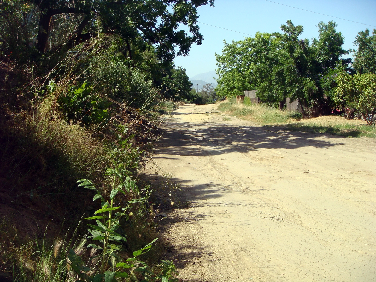 An image depicting the trail Pacific Electric Trail and its surrounding area.