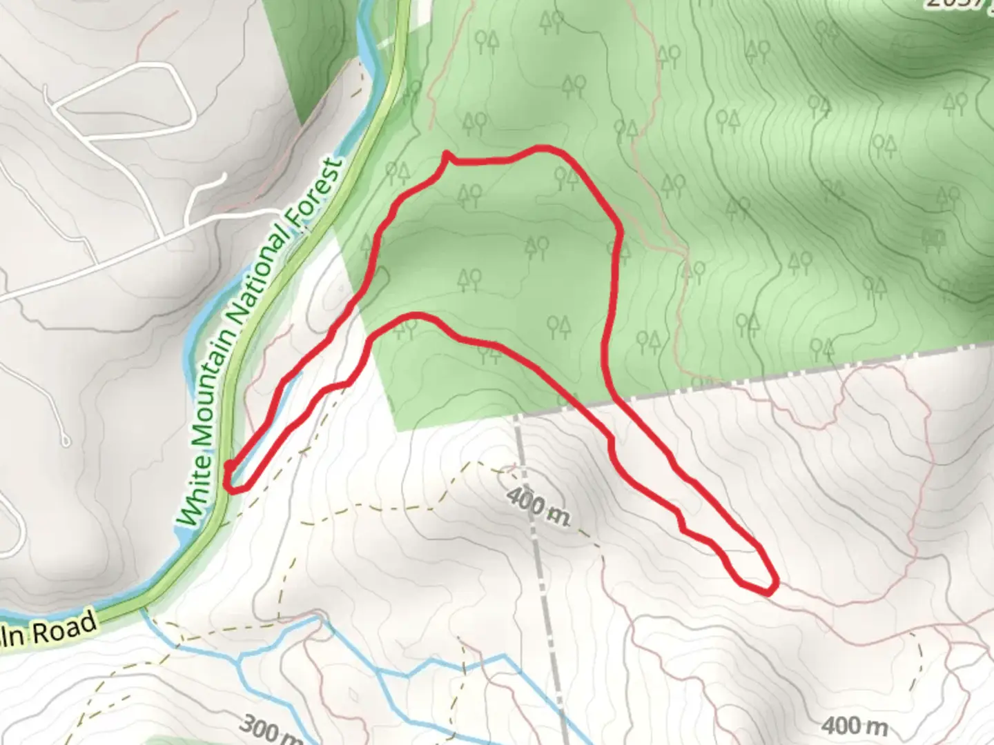 An image depicting the trail Pine Flat XC and Smarts Brook Loop Trail and its surrounding area.