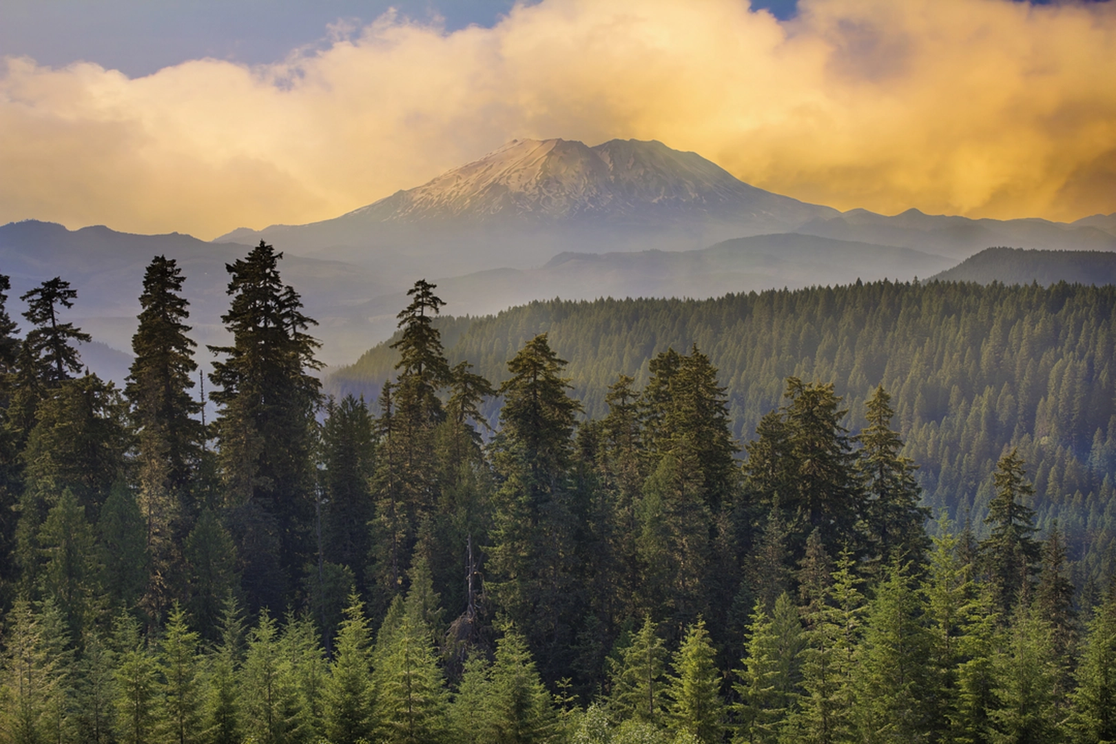 An image depicting the trail Quartz Creek Big Trees Trail and its surrounding area.