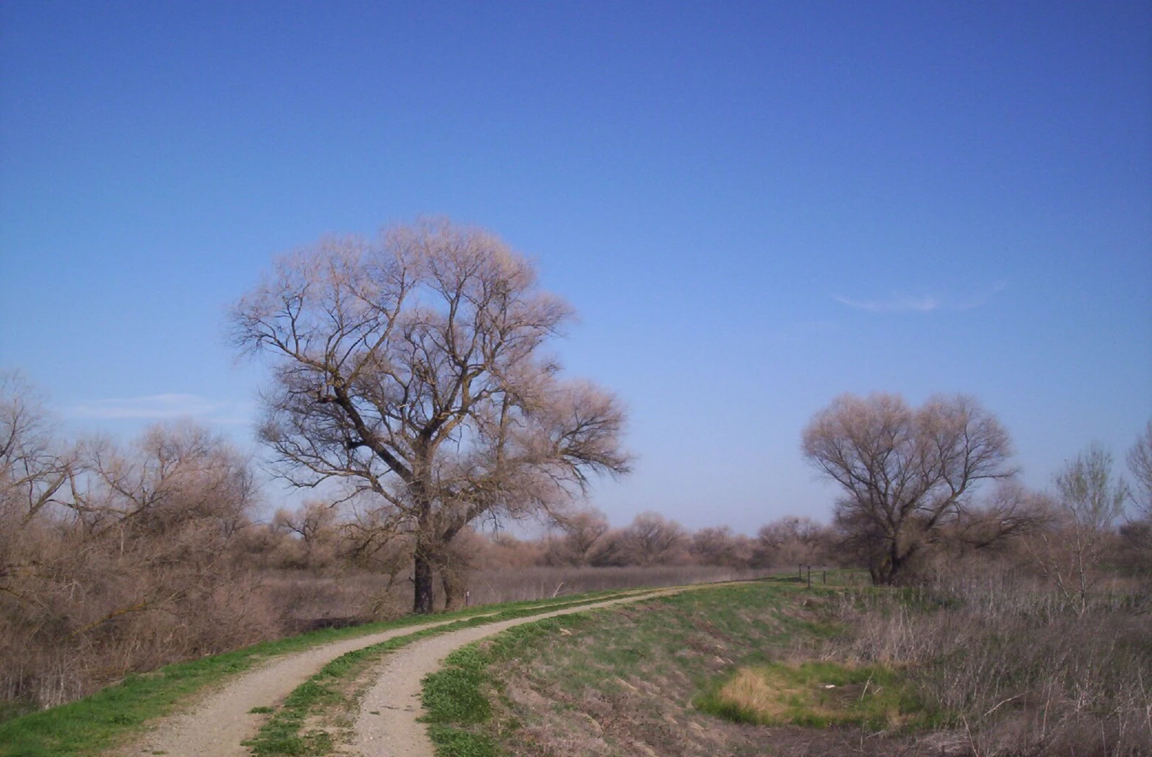 An image depicting the trail Wolfsen Road Loop and its surrounding area.