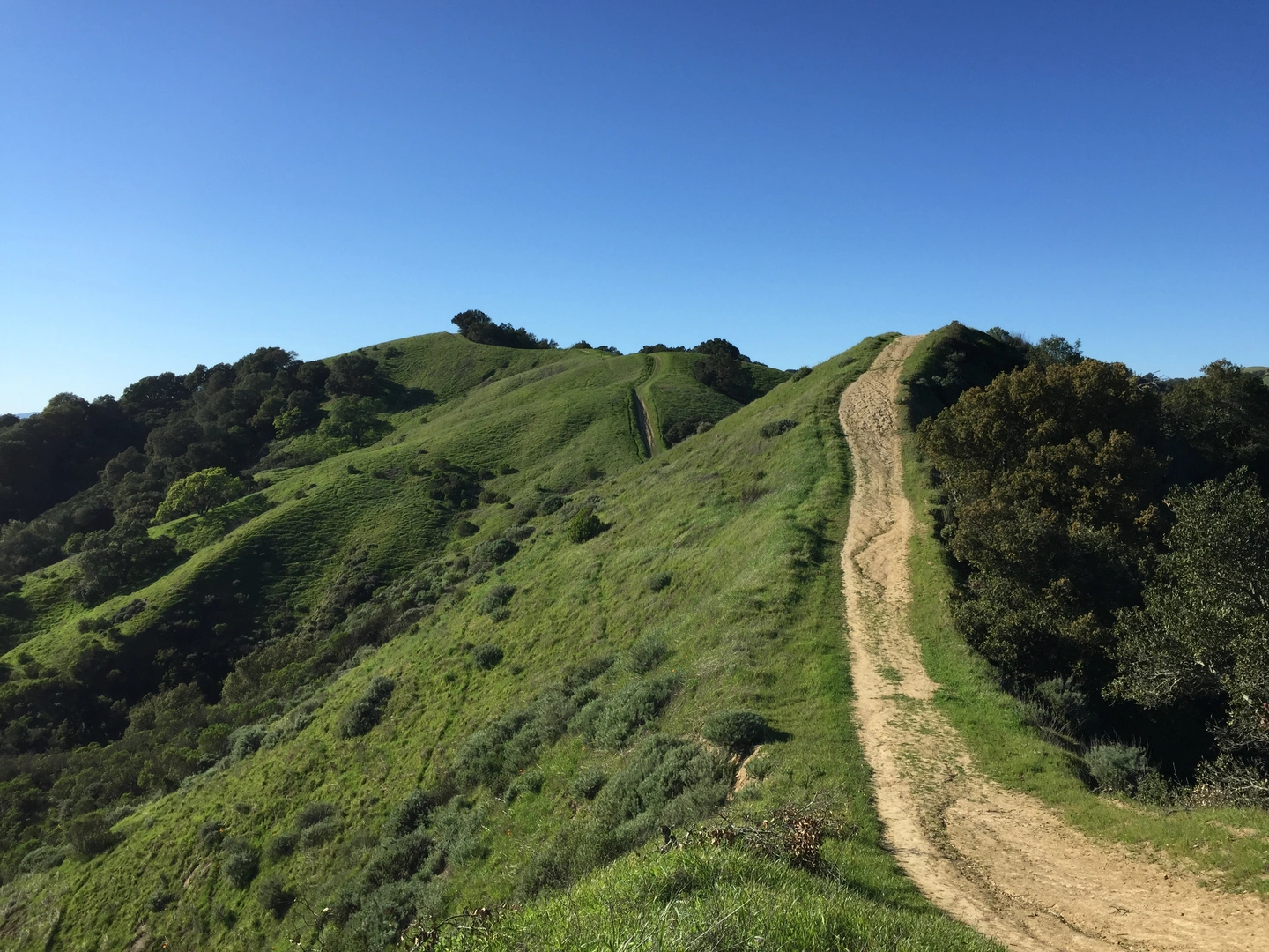 An image depicting the trail Lafayette-Moraga Trail and its surrounding area.