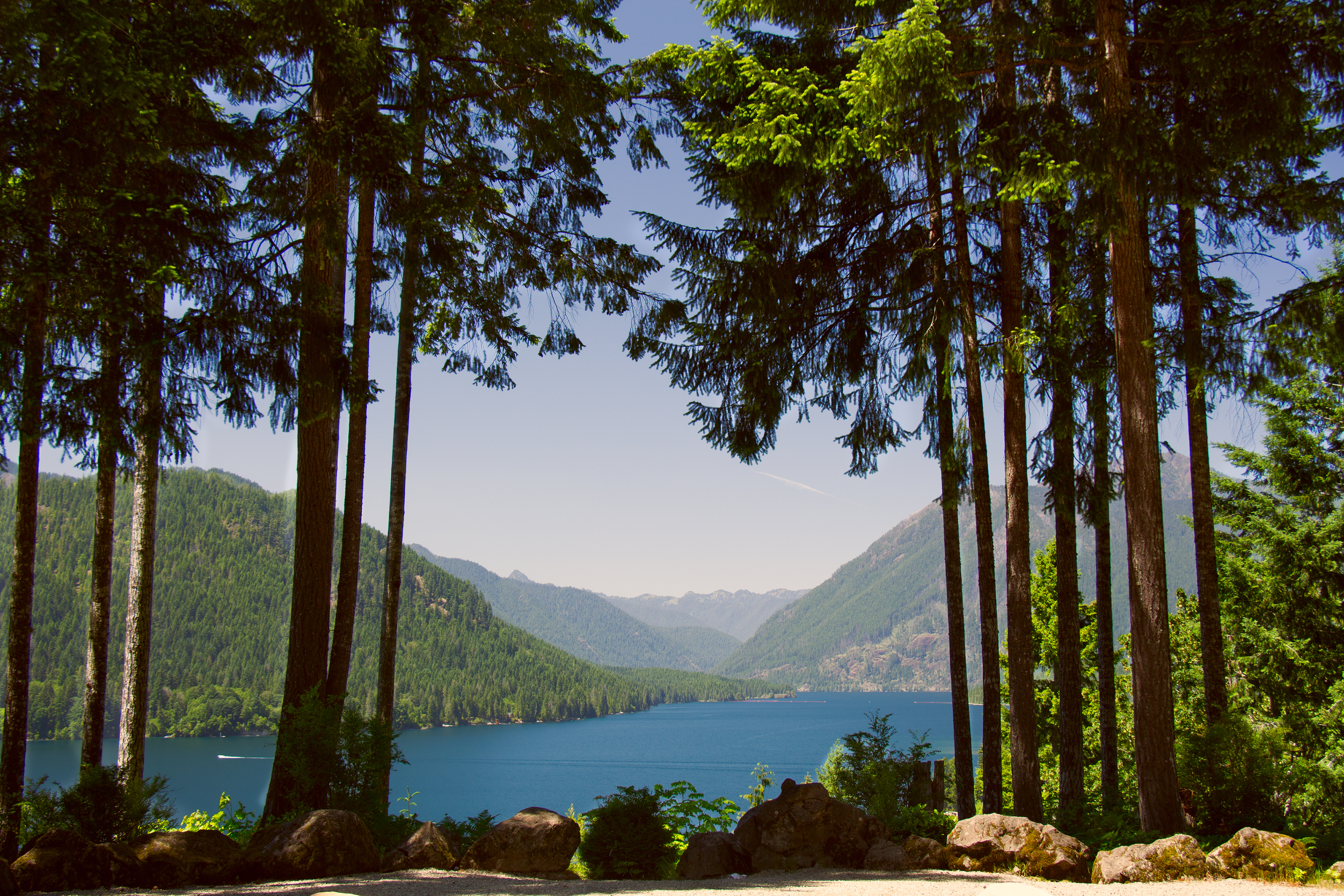 An image depicting the trail Olympic National Forest and its surrounding area.