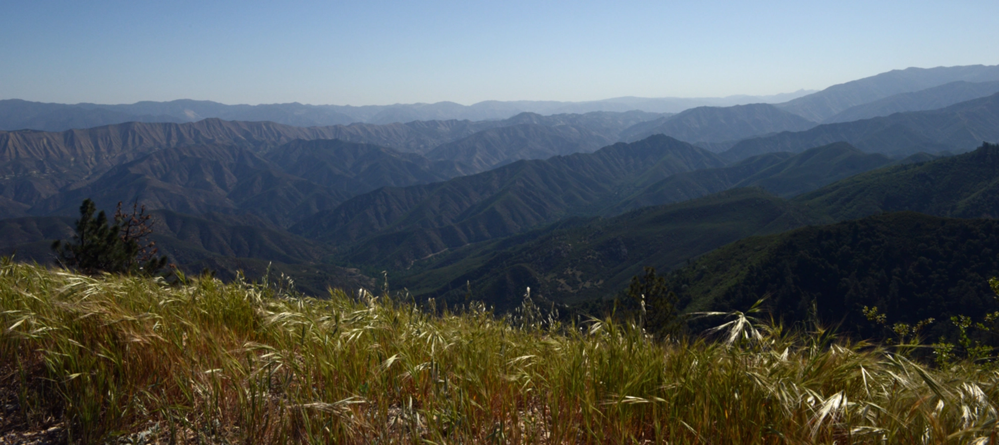 An image depicting the trail Potrero Canyon Trail and its surrounding area.