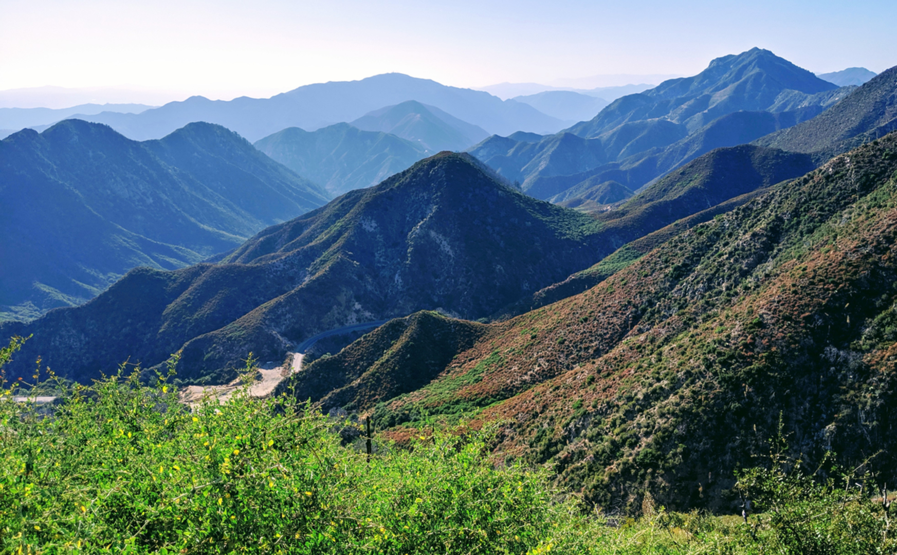 An image depicting the trail Pacifico Mountain via Pacific Crest Trail and its surrounding area.