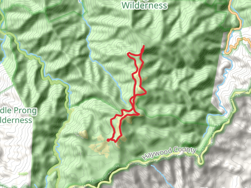 Shining Rock, Tennent Mountain, Investor Gap and Art Loed Loop Trail