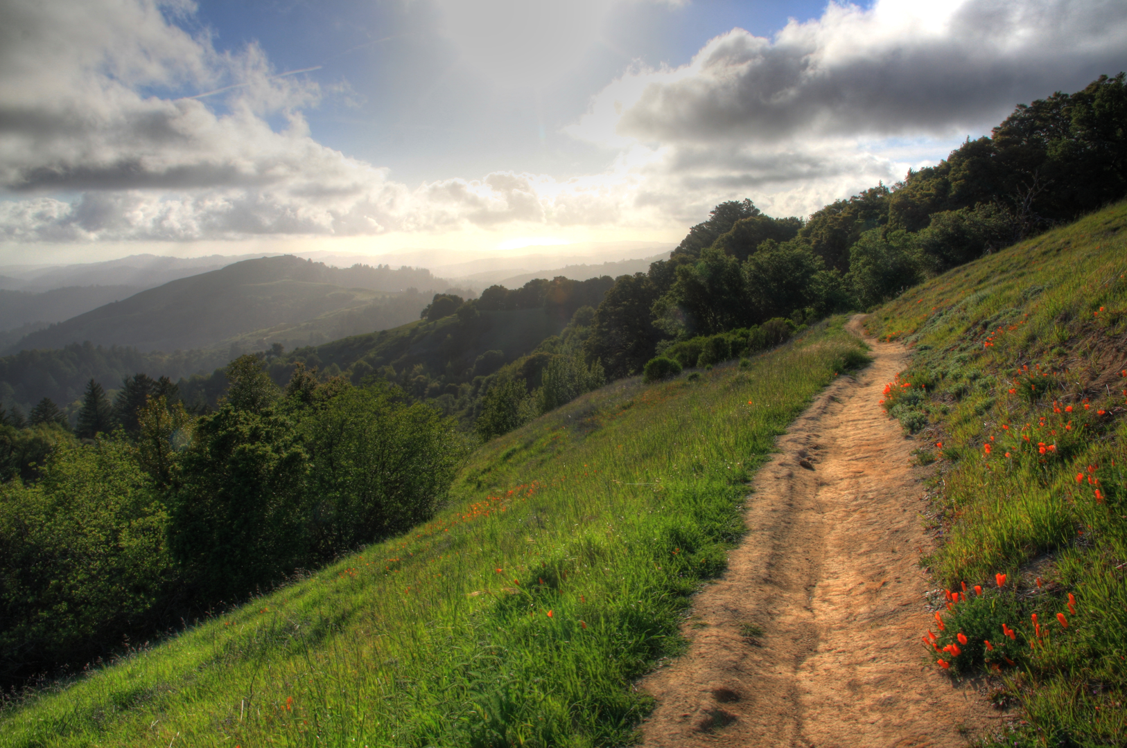 An image depicting the trail Hawk Ridge and Bo Gimbal Loop Trail and its surrounding area.