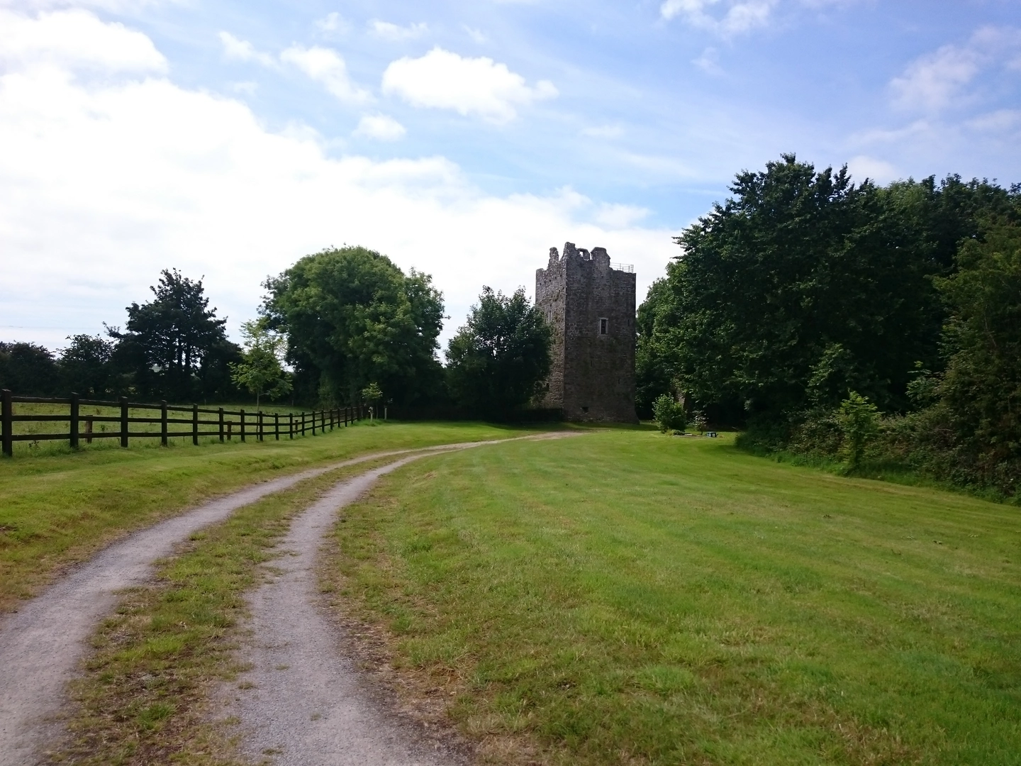 An image depicting the trail Ballintotis Loops - Castle Loop and its surrounding area.