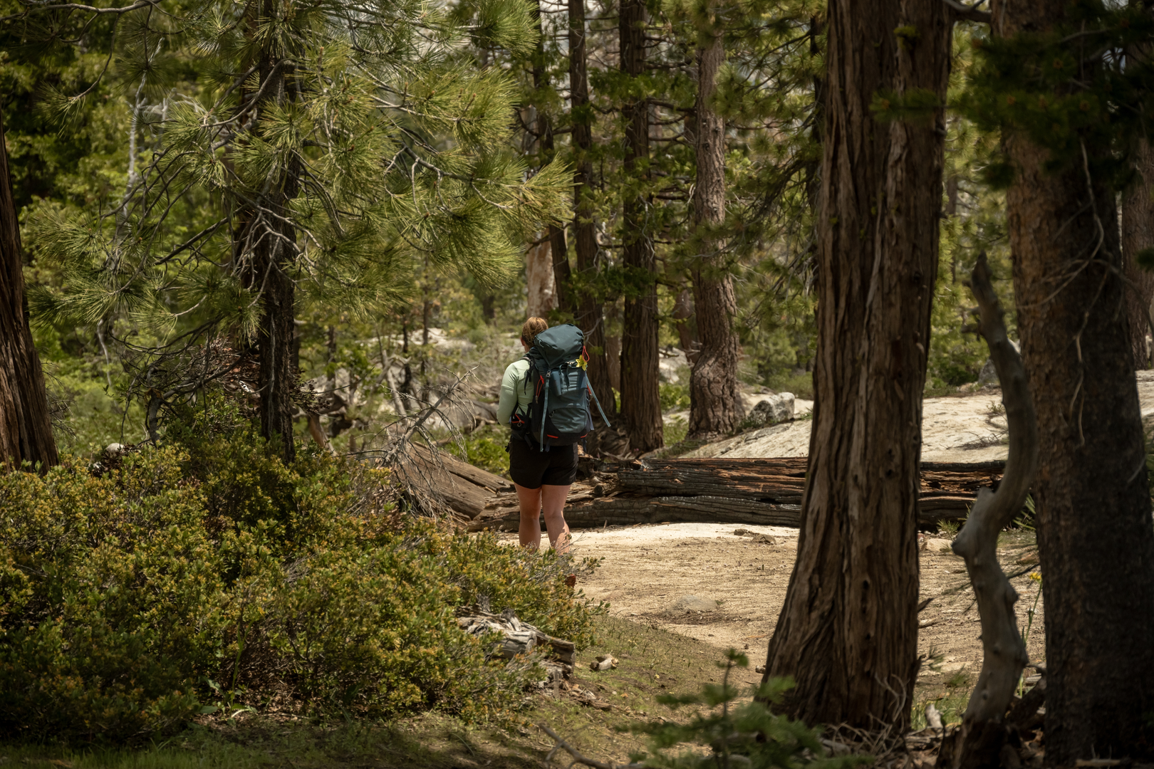 An image depicting the trail Rainbow Lake via Walton and Theodore Solomons Trail and its surrounding area.