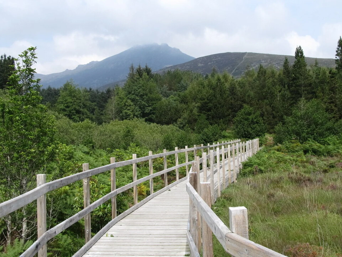 An image depicting the trail Silent Valley Heritage Trail and its surrounding area.