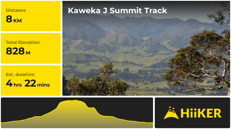 Kaweka J Summit Track | Hastings | New Zealand