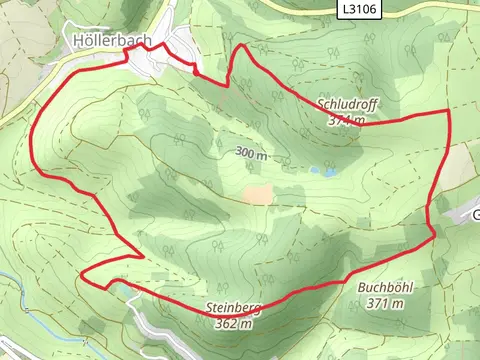 Schludroff and Steinberg Loop