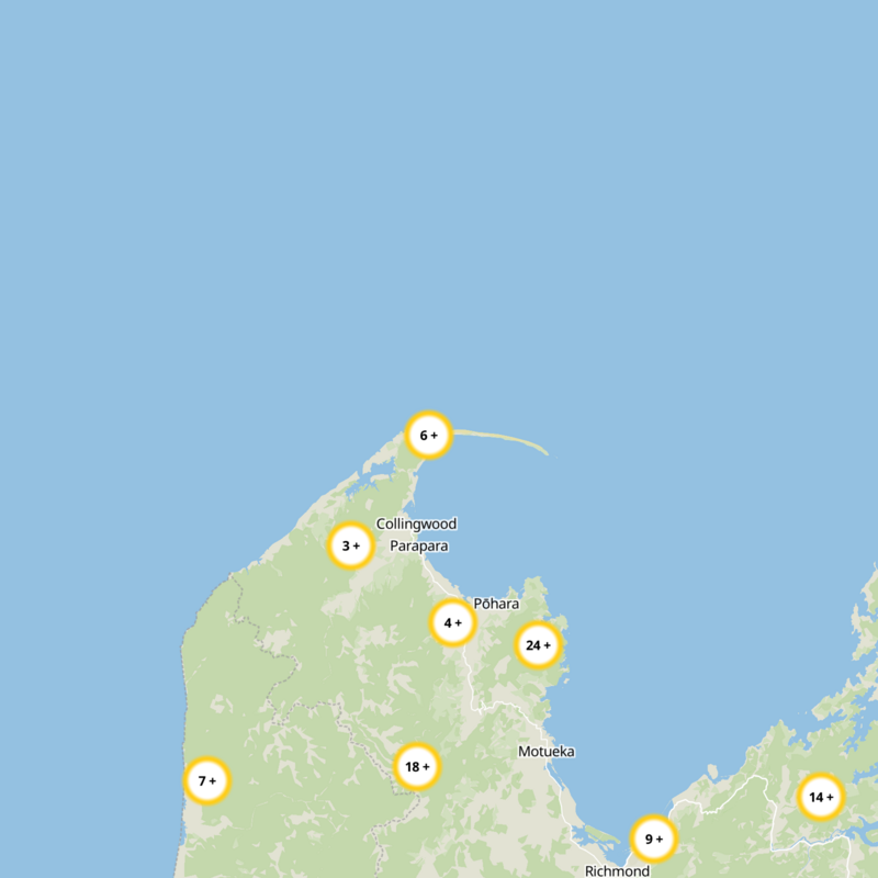 Port Puponga Static Map