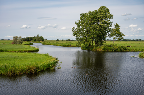 Surfplas, s - Gravenkoop, Groot Vogelenzang and klein Vogelenzang Loop