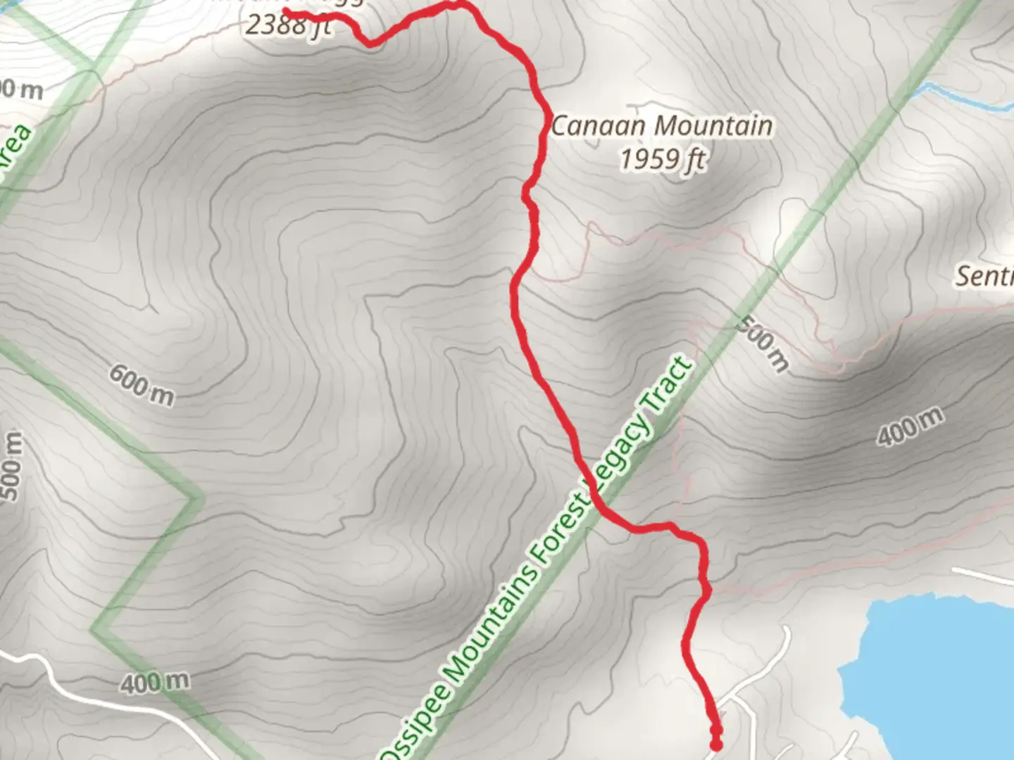 An image depicting the trail Mount Flagg Trail and its surrounding area.