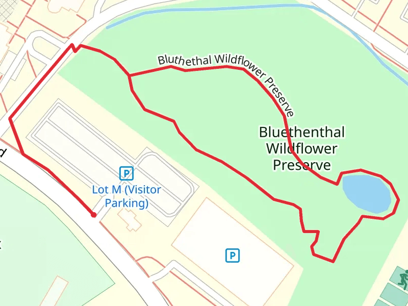 Bluethenthal Wildflower Preserve Loop