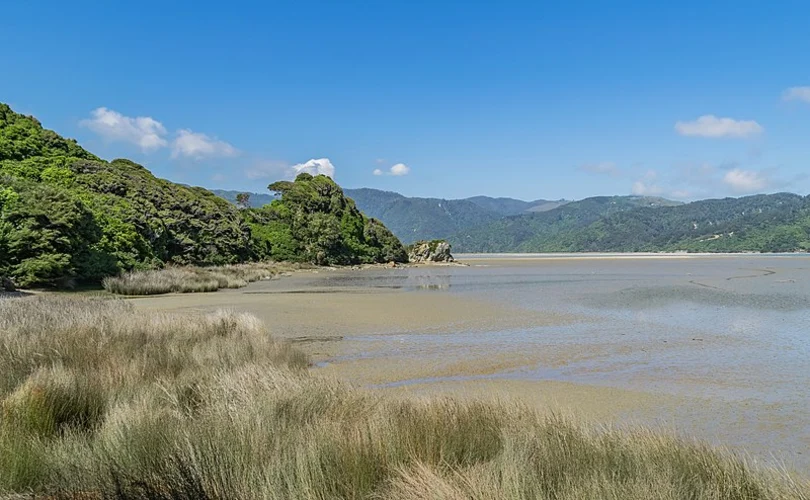 Abel Tasman Inland Track