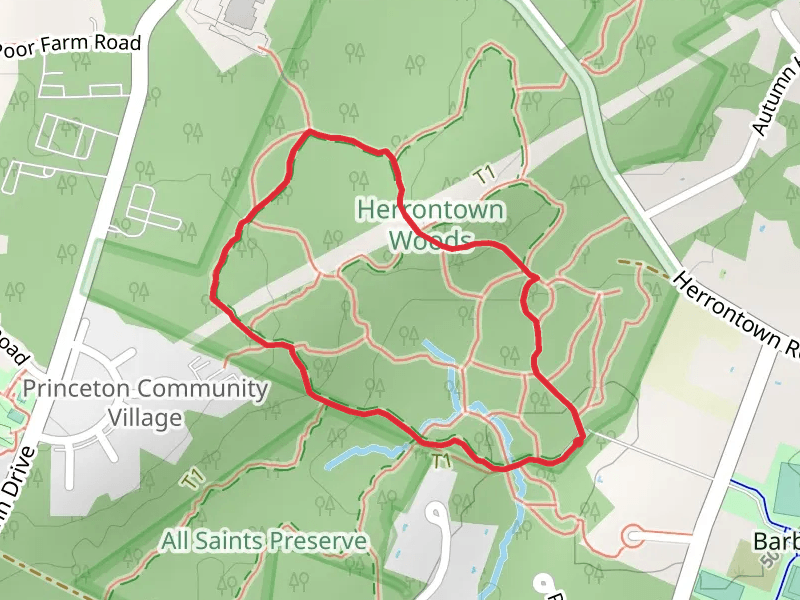 Red Loop