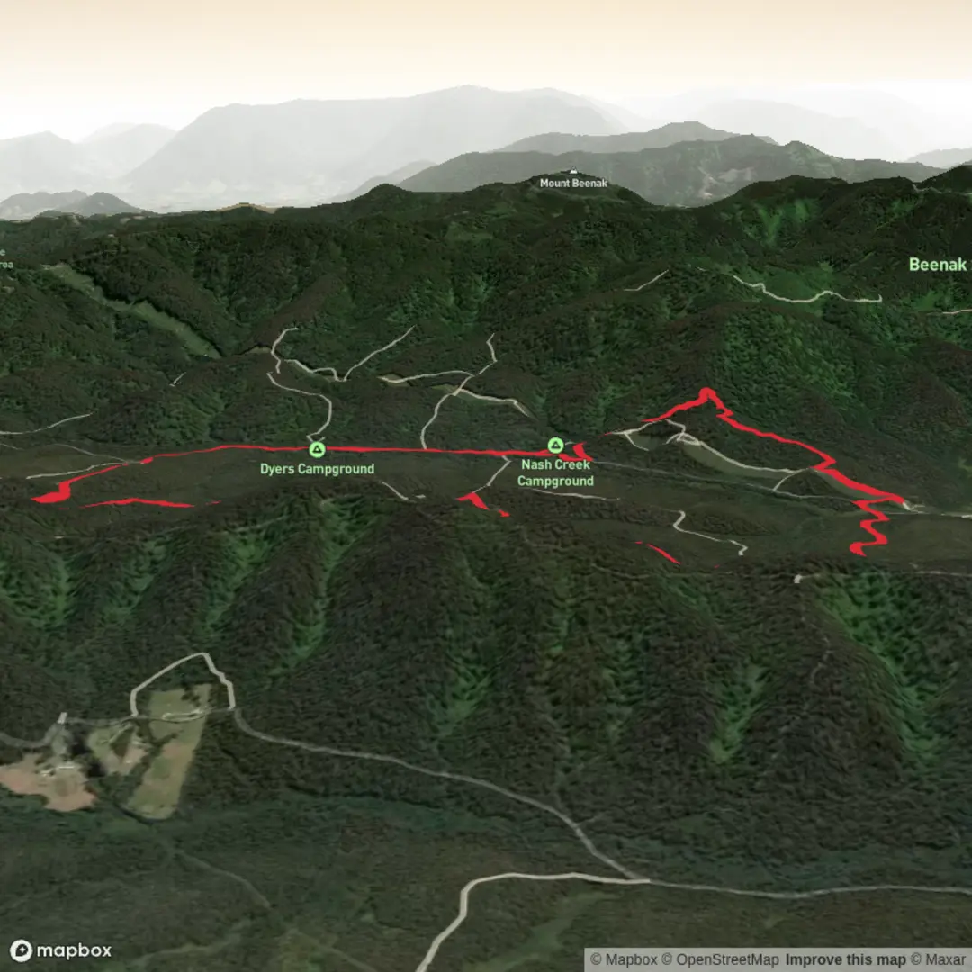 An image depicting the trail Nash Creek Loop - Wombat and its surrounding area.