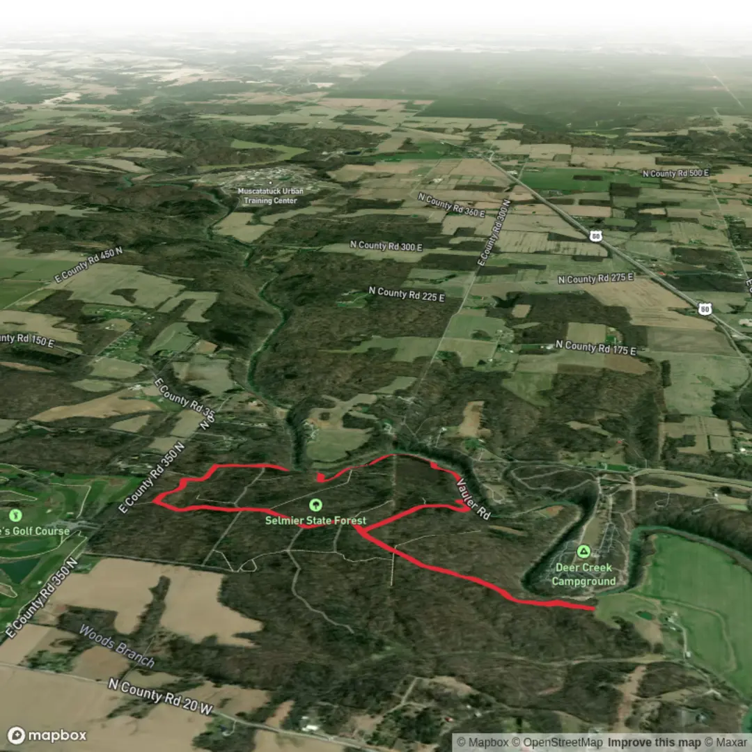 An image depicting the trail Selmier State Forest Loop via Summerfield Cemetery and its surrounding area.