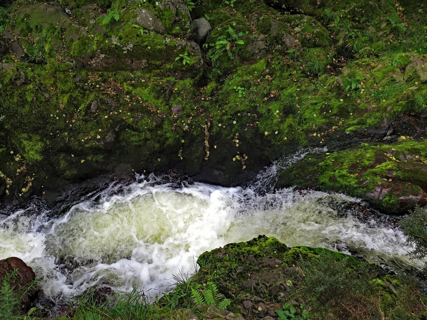 An image depicting the trail Wooler to Hethpool Walk and its surrounding area.