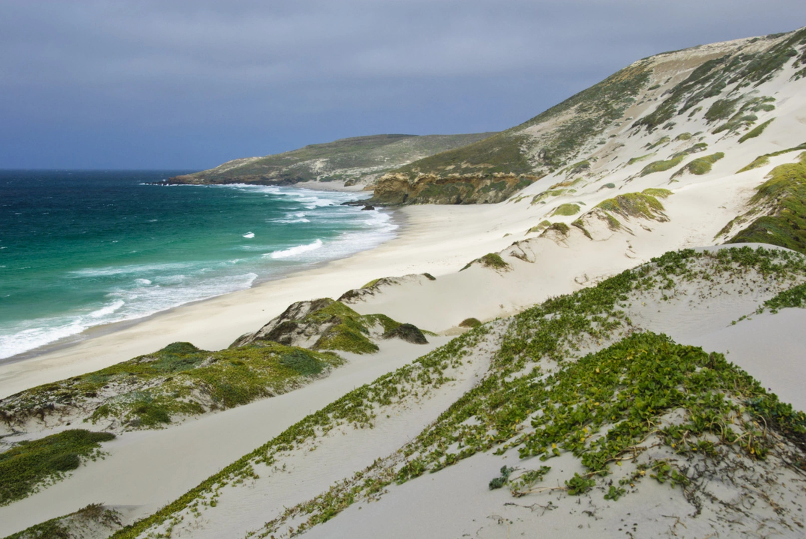An image depicting the trail Lester Point Trail and its surrounding area.