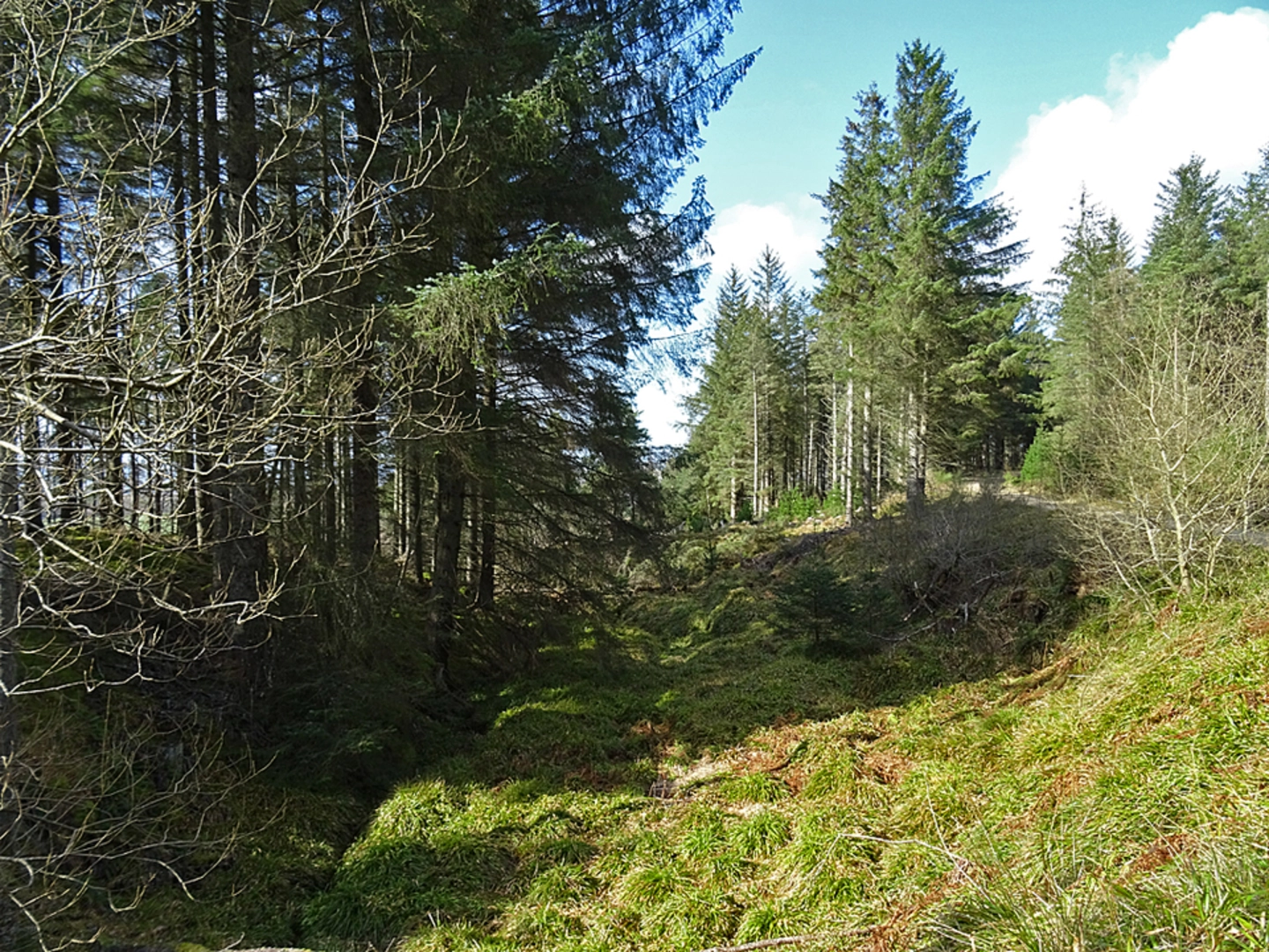 An image depicting the trail Herricks Loop Walk and its surrounding area.
