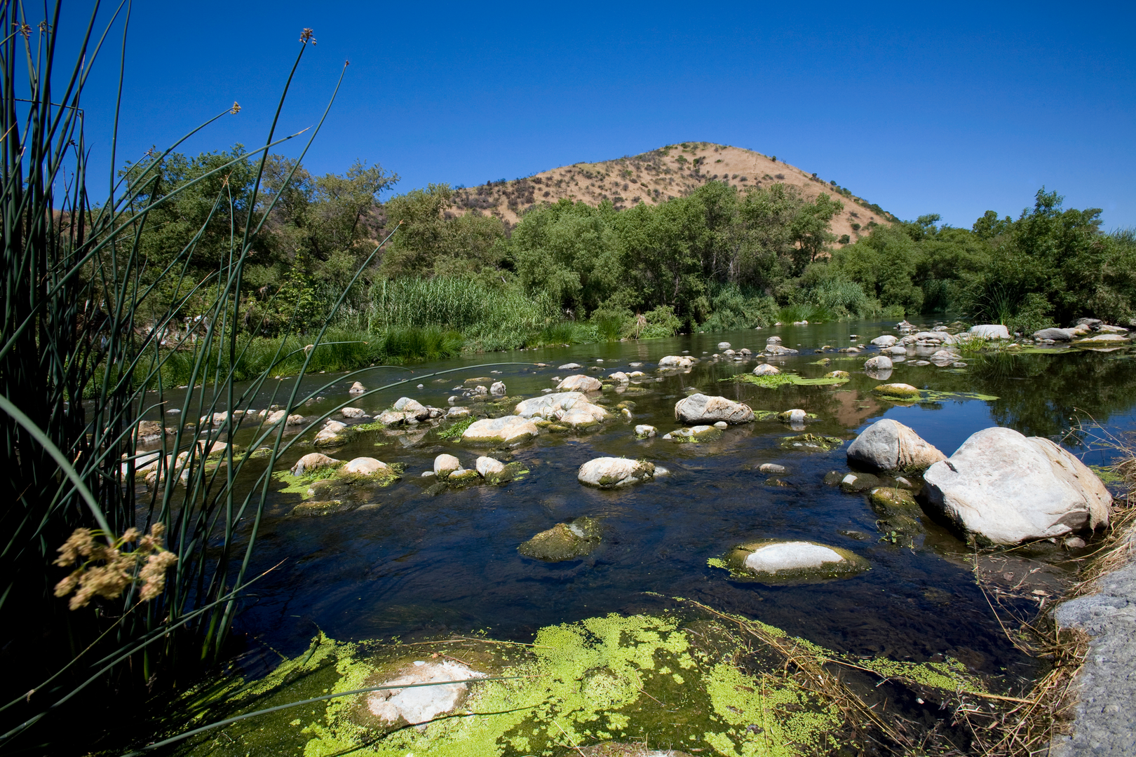 An image depicting the trail Los Angeles River and its surrounding area.