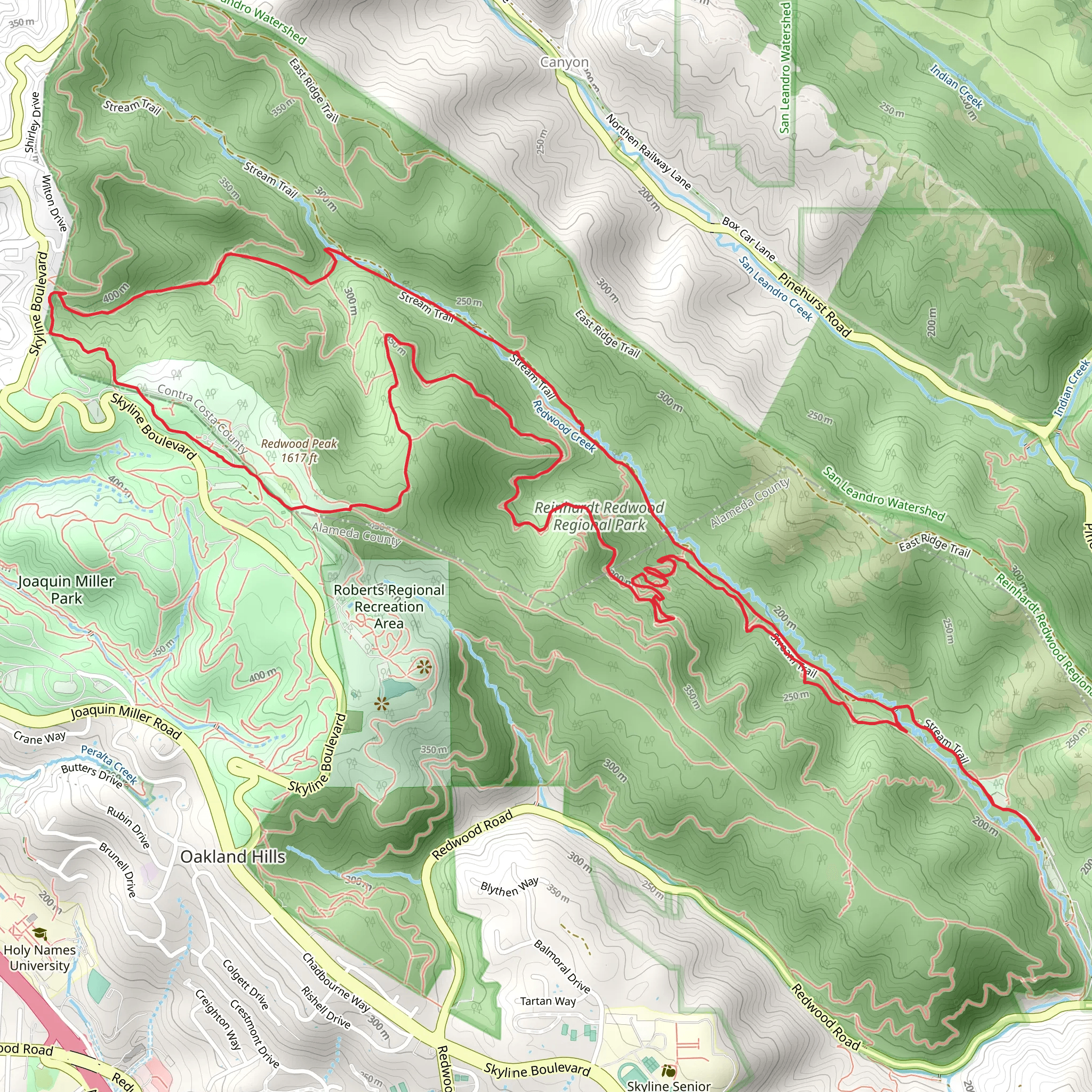 Stream, Bridle and French Loop Trail | Alameda County | California