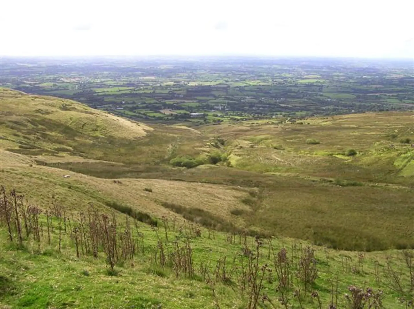 An image depicting the trail Slieve Gallion Summit via Iniscarn Forest and its surrounding area.
