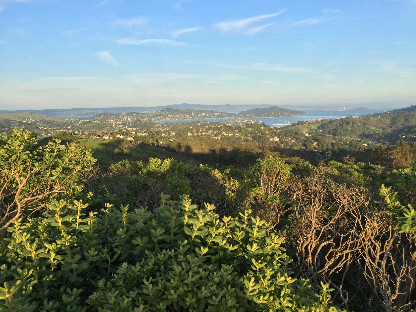 An image depicting the trail Ocrean View and Panoramic Trail and its surrounding area.