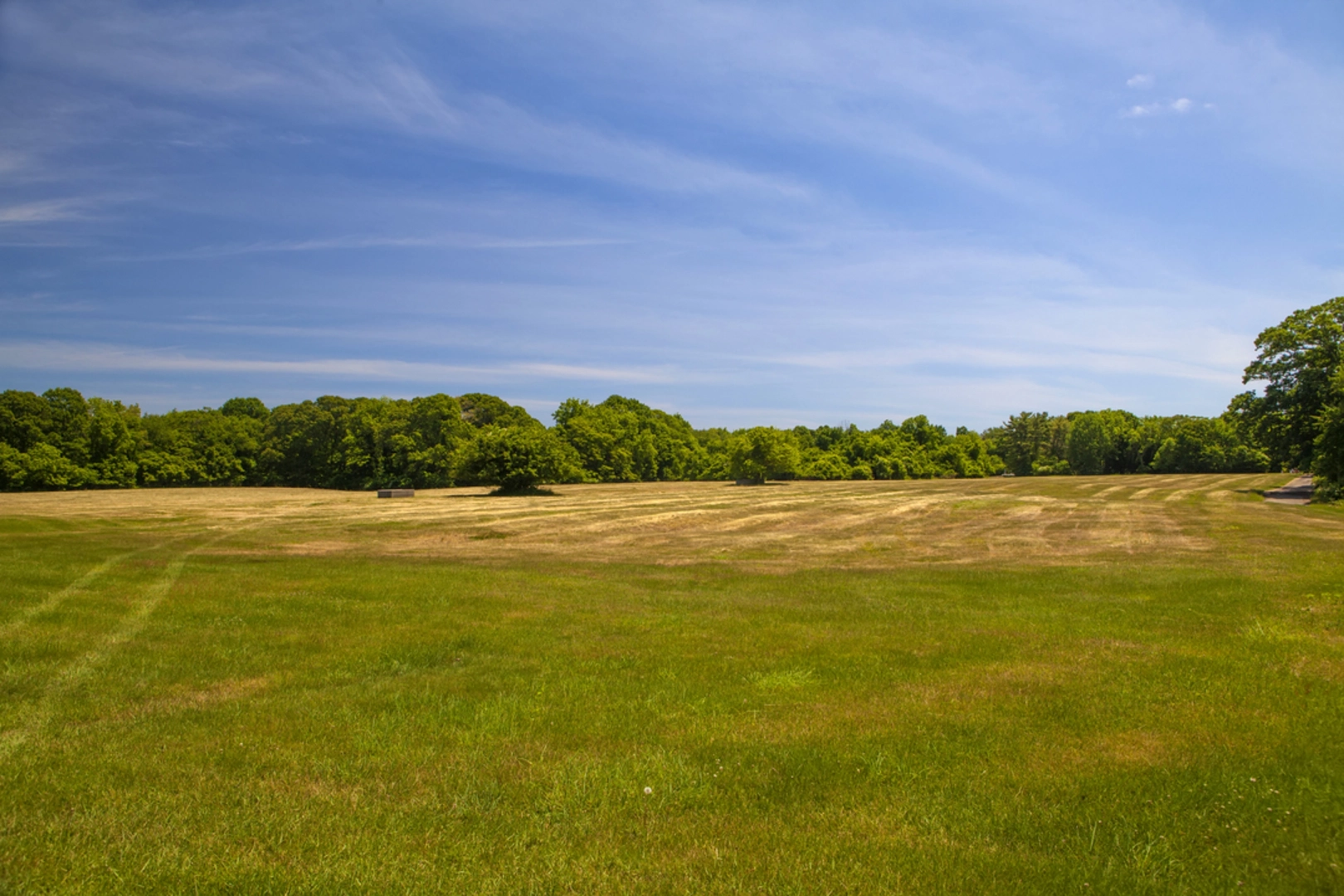 An image depicting the trail Caumsett State Historic Park and its surrounding area.