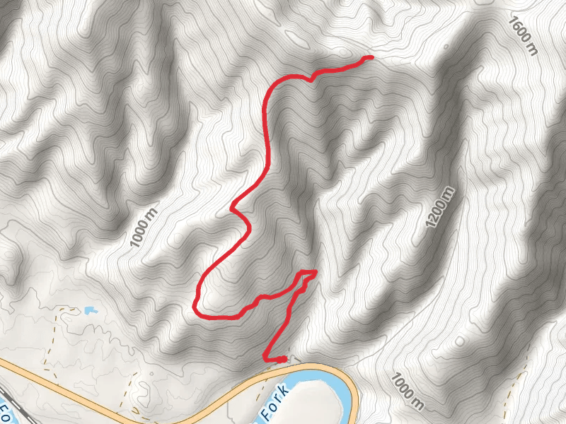 Donlan Saddle Trail