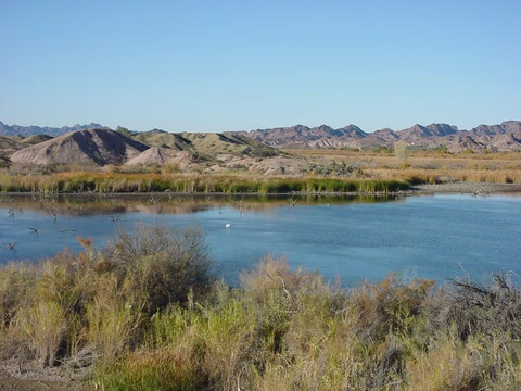 Picacho Road