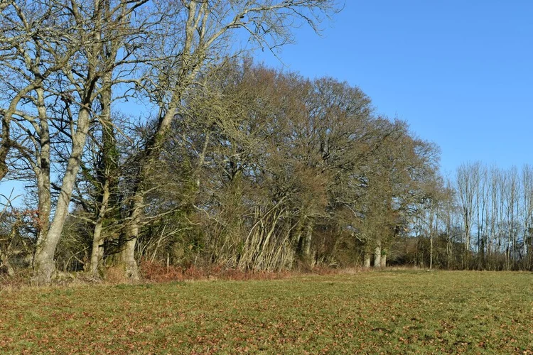 Hamptworth Loop