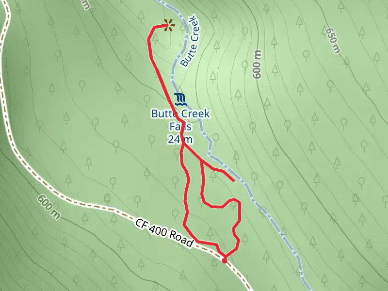 Butte Creek Falls Trail Loop